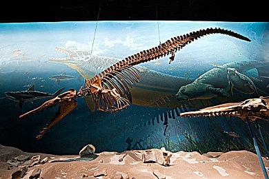 《Skin Deep》5月登陆Steam 沉浸式第一人称射击